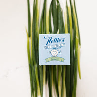 Nellie's Lemongrass Scented Dryerball packaging on a bed of lemongrass
