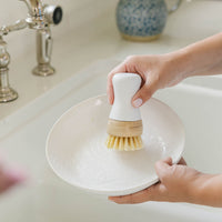 Kitchen Brush