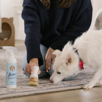 Pet Stain and Odour Remover