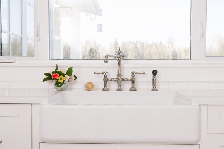 A clean kitchen sink area and Nellie's Dish Stick. 