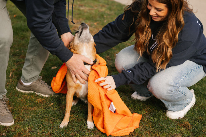 Person wiping down dog with DBL DRY Dog Towel. 