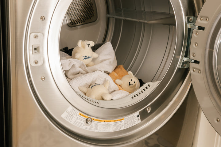 Nellie's Energy & Money-Saving Dryer Tips