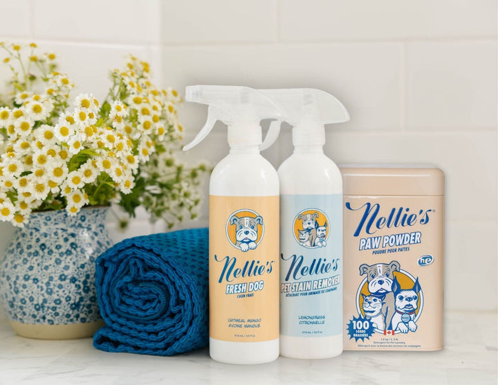 Keeping It Clean for Your Pets: Why Planet Friendly Pet Care Matters