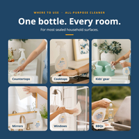 All-Purpose Cleaner